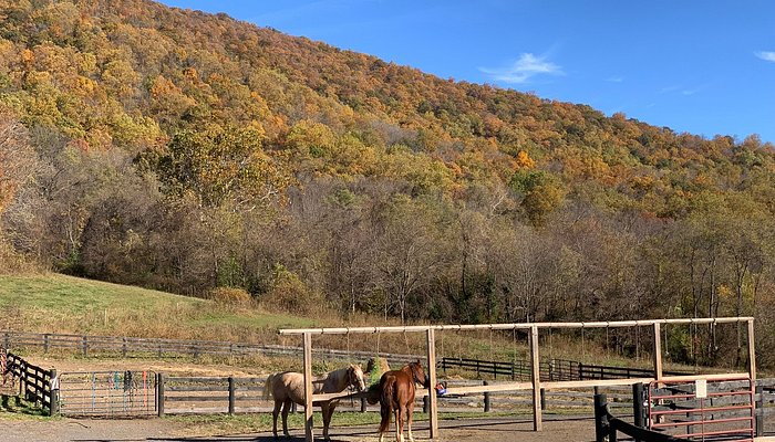 Marriott Ranch Trail Barn