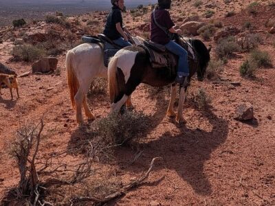 Wild West Trailrides