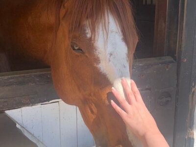 Big River Barn Rescue