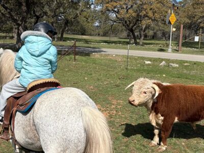 Horseback Adventures of Central Texas