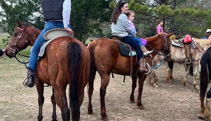 Waller County Horseback Riding Adventure