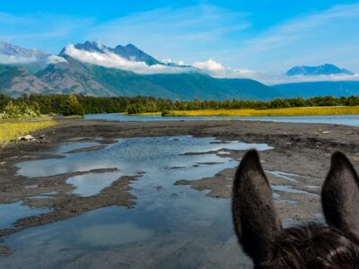 Alaska Horse Adventures