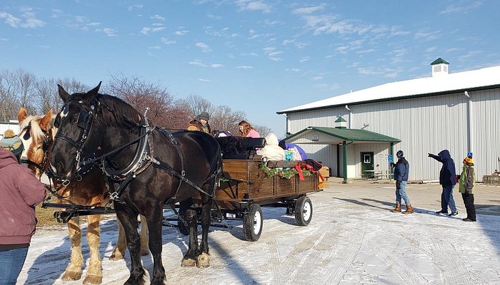 Jester Park Equestrian Center