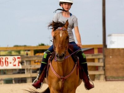 Heart of Texas Equestrian Academy