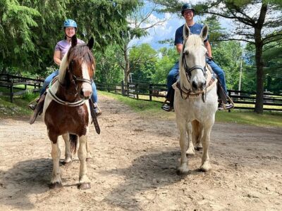 Saddle Up Stables