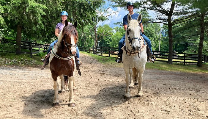Saddle Up Stables