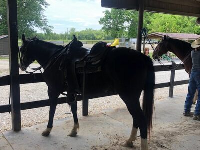 Pere Marquette Riding Stables