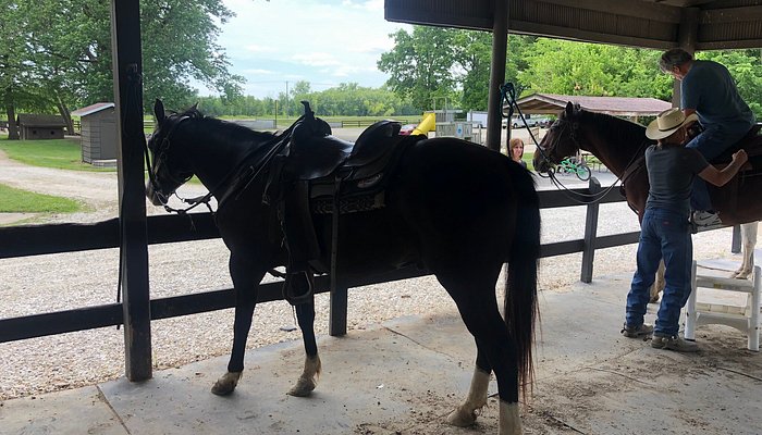 Pere Marquette Riding Stables
