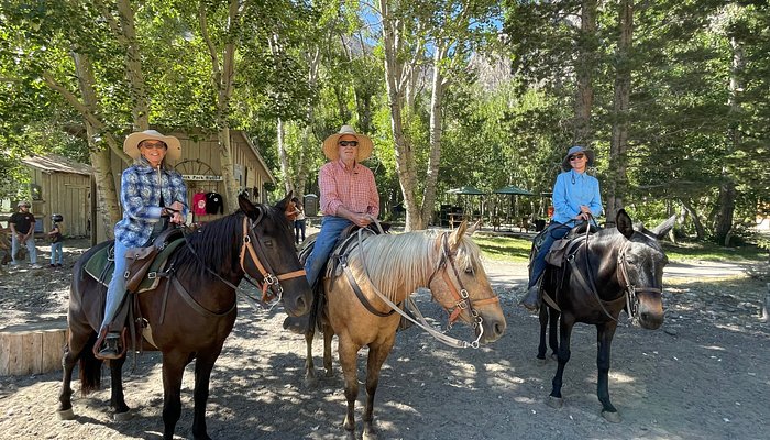 McGee Creek Pack Station