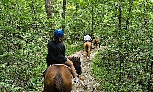 Double J stables & Campgrounds