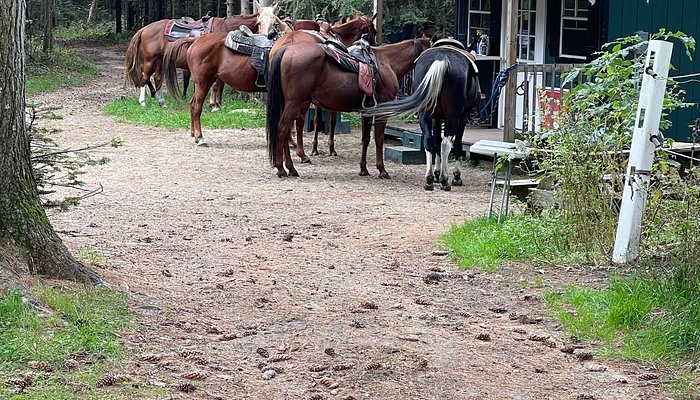 Emerald Springs Ranch