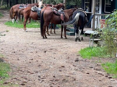 Emerald Springs Ranch