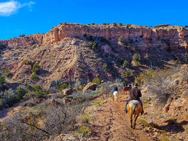 Palo Duro Riding Stables