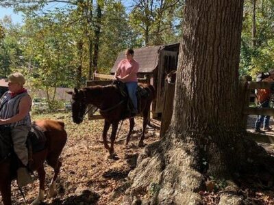 Cumberland Falls Horse Riding Stables