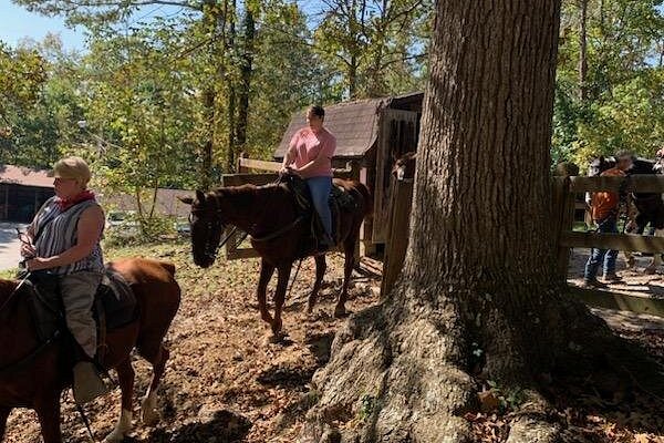 Cumberland Falls Horse Riding Stables