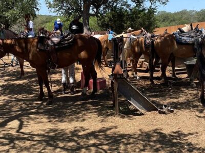 Westcreek Trail Rides