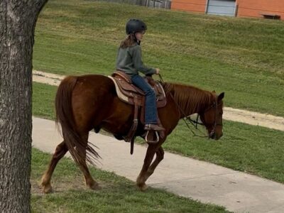 Fort Worth Stockyard Stables