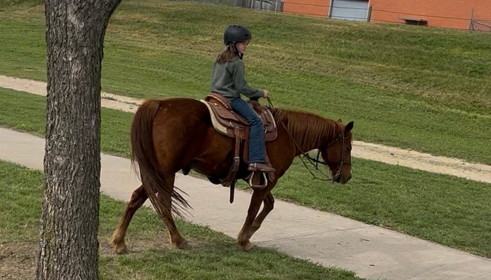 Fort Worth Stockyard Stables