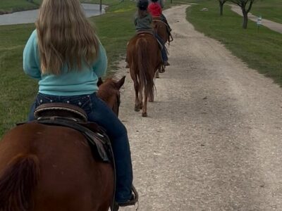 Fort Worth Stockyard Stables