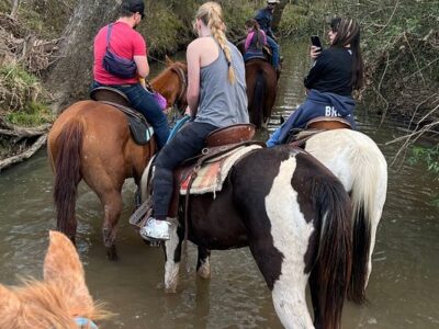 Waller County Horseback Riding Adventure