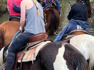Waller County Horseback Riding Adventure