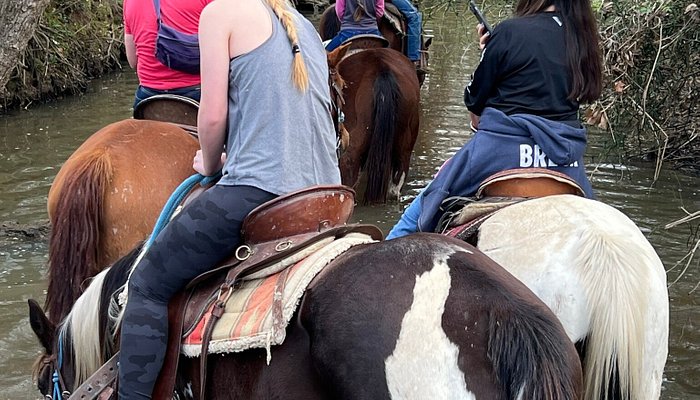 Waller County Horseback Riding Adventure