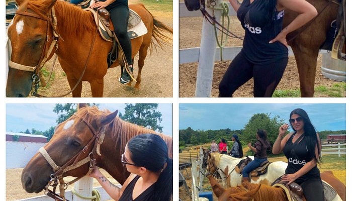 Piscataway Horse Farm