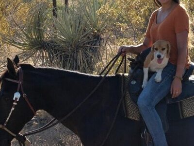Native Horsemanship