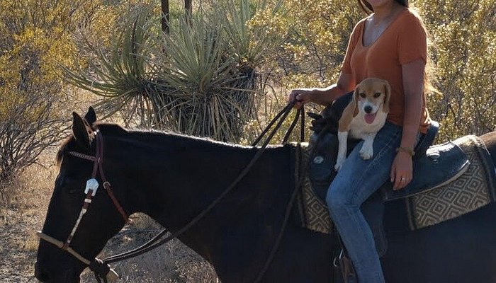 Native Horsemanship