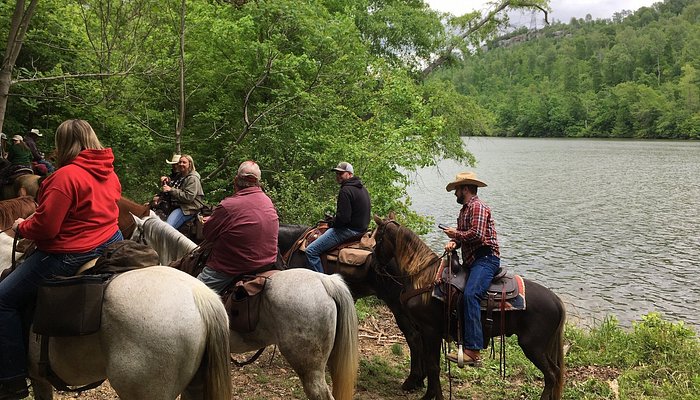 Alabama Horseback Adventures
