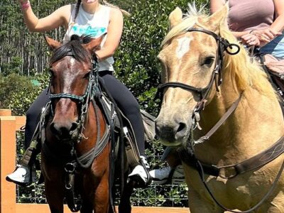 Wailea Horseback Adventure