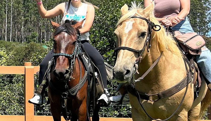 Wailea Horseback Adventure