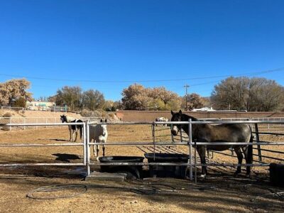 Running Horse Ranch