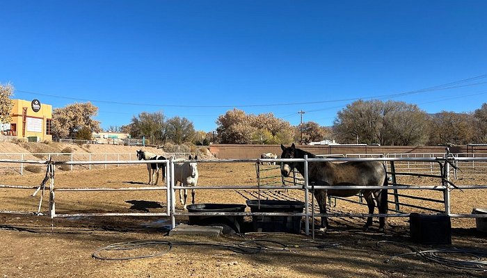 Running Horse Ranch