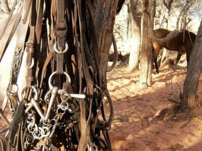 U-Trail's High Adventure Destinations