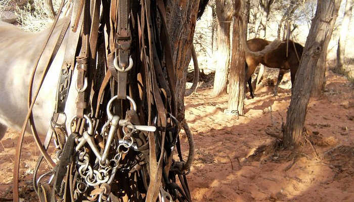 U-Trail's High Adventure Destinations
