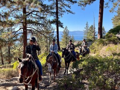 Zephyr Cove Stables