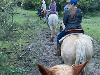 Diamond Springs Ranch