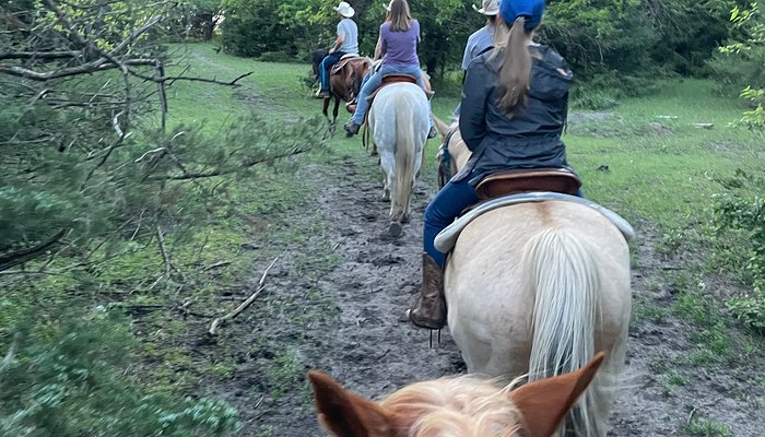 Diamond Springs Ranch