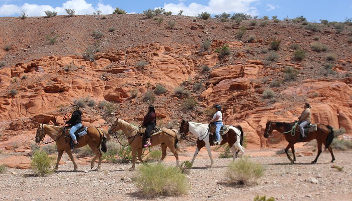 Silver State Horseback Riding Tours