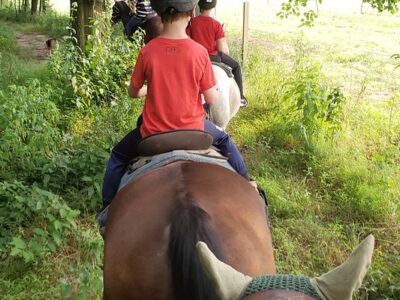 Fairwinds Farm & Stables