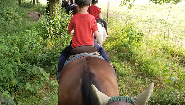 Fairwinds Farm & Stables