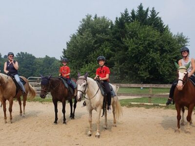 Fairwinds Farm & Stables