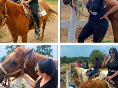 Piscataway Horse Farm