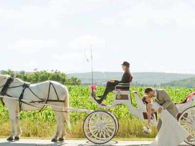Carousel Horse Farm