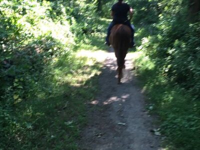 Chase Run Stable