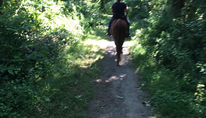 Chase Run Stable