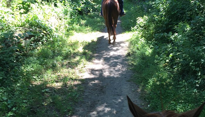 Chase Run Stable