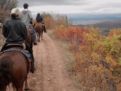 Red Pine Adventures