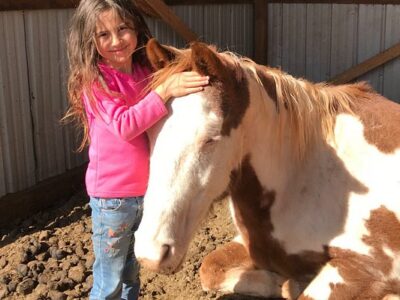 Vision Quest Western Horseback Rides & Lessons